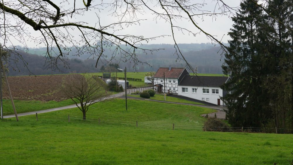 Bild Natur neu